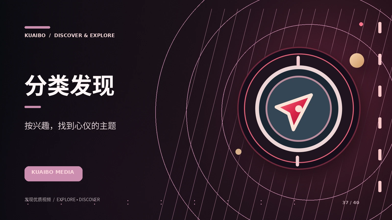 分类发现